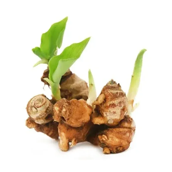 KENCUR 160GR